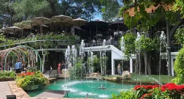 Thi Công Tiểu Cảnh Quán Cà Phê