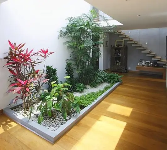 Tại Sao Bạn Nên Thiết Kế Tiểu Cảnh Trong Trang Trí Nội Thất Tại Sao Bạn Nên Thiết Kế Tiểu Cảnh Trong Trang Trí Nội Thất