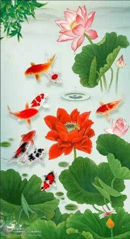 Hồ Cá Chép Koi: Toàn Cảnh Về Nghệ Thuật Sân Vườn, Phong Thủy Và Chăm Sóc