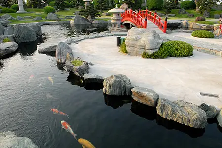 Chiêm Ngưỡng Hồ Cá Chép Nhật Trị Giá Tiền Tỷ Tại Tp.hcm