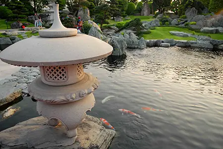 Chiêm Ngưỡng Hồ Cá Chép Nhật Trị Giá Tiền Tỷ Tại Tp.hcm