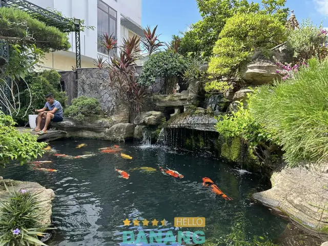 Công Ty Hoa Sen Việt