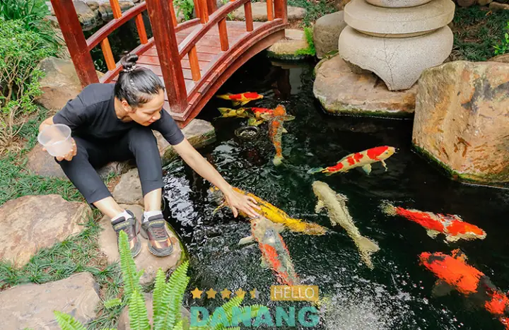 Công Ty Cổ Phần Thương Mại Vườn Nhật