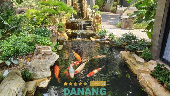 Công Ty Tnhh Đan Nhiên Phát – Koi Service