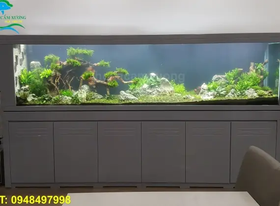 Hồ Cá Dài 3m: Hướng Dẫn Thiết Kế, Lắp Đặt Và Chăm Sóc Chi Tiết Nhất Hồ Cá Dài 3m: Hướng Dẫn Thiết Kế, Lắp Đặt Và Chăm Sóc Chi Tiết Nhất