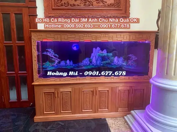 Hồ Cá Dài 3m: Hướng Dẫn Thiết Kế, Lắp Đặt Và Chăm Sóc Chi Tiết Nhất Hồ Cá Dài 3m: Hướng Dẫn Thiết Kế, Lắp Đặt Và Chăm Sóc Chi Tiết Nhất