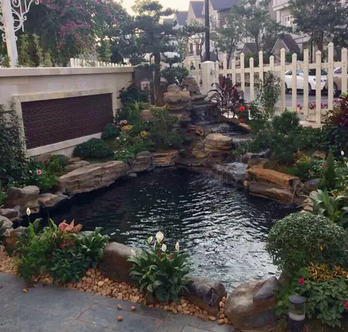 Thi Công Bể Cá Koi – Đội Ngũ Thi Công Chuyên Nghiệp