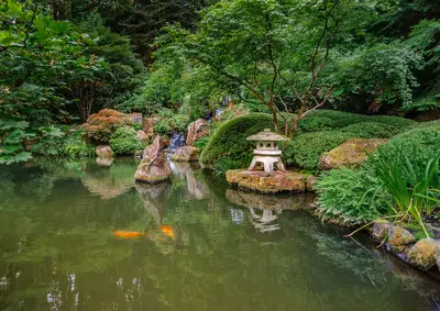 Vườn Nhật Bản Portland, Oregon, Hoa Kỳ Vườn Nhật Bản Portland, Oregon, Hoa Kỳ
