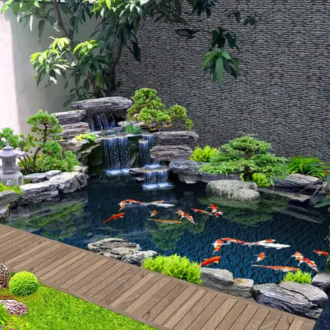 Hồ Cá Koi Sân Vườn