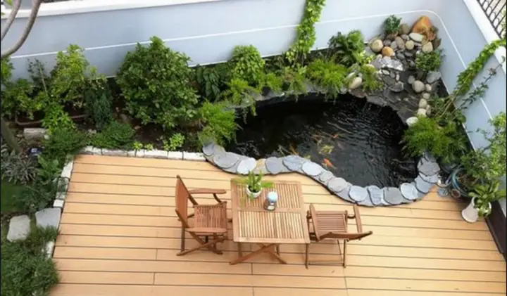 Bể Cá Sân Vườn