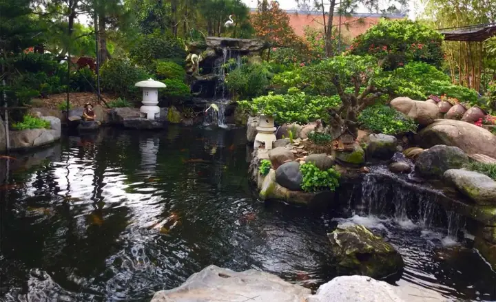 Top 65+ Mẫu Hồ Cá Sân Vườn Nhỏ Đẹp, Được Ưa Chuộng Nhất Hiện Nay