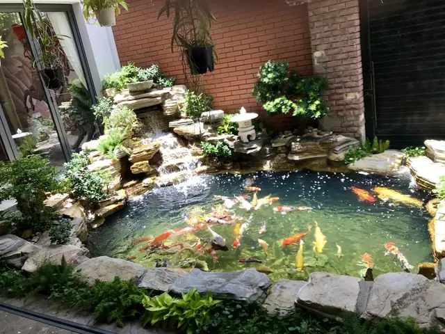 Tạo Không Gian Thoải Mái, Trong Lành