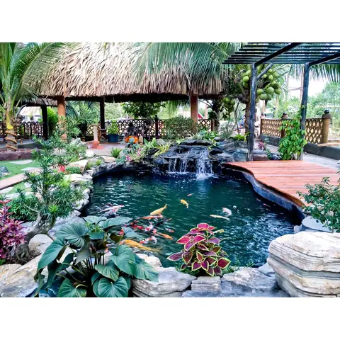 Hồ Cá Koi Mini Sân Vườn