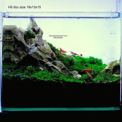 Hồ Cá Đúc 50cm Hồ Cá Đúc 50cm