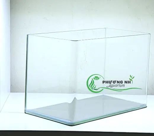 Hồ Cá Đúc 50cm Hồ Cá Đúc 50cm