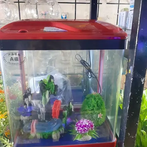 Hồ Cá Đúc Có Nắp: Thiết Kế Hiện Đại Cho Cuộc Sống Gia Đình Bận Rộn