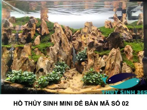Bể Cá Mini