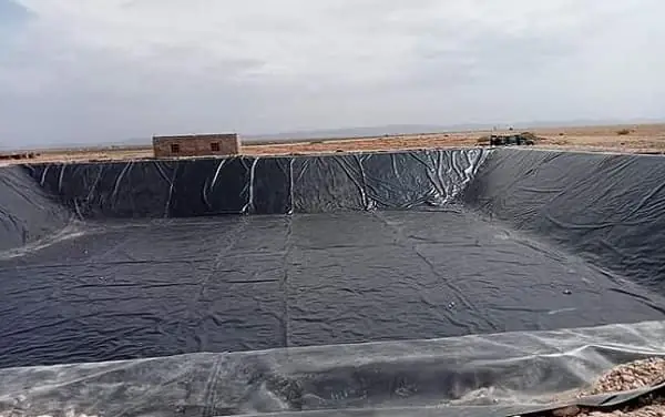 Giá Bạt Lót Hồ Cá Hdpe Đắt Hay Rẻ Và Bao Nhiêu?