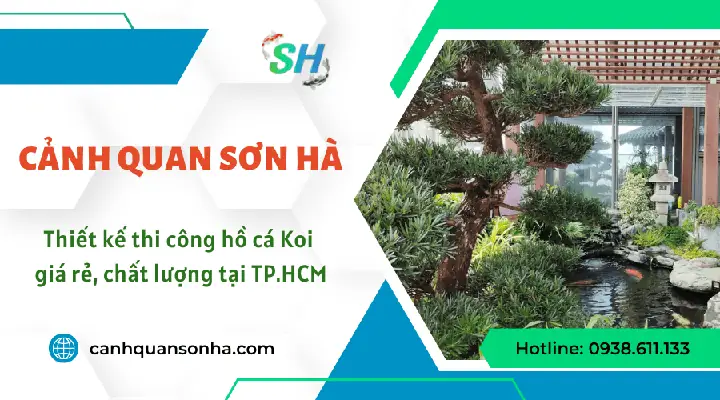 Thiết Kế Thi Công Hồ Cá Koi Giá Rẻ Tại Tp.hcm Thiết Kế Thi Công Hồ Cá Koi Giá Rẻ Tại Tp.hcm