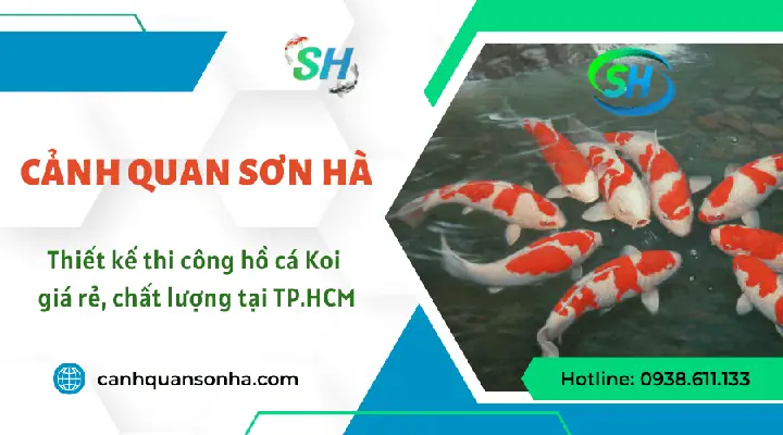 Thi Công Hồ Cá Koi Thi Công Hồ Cá Koi