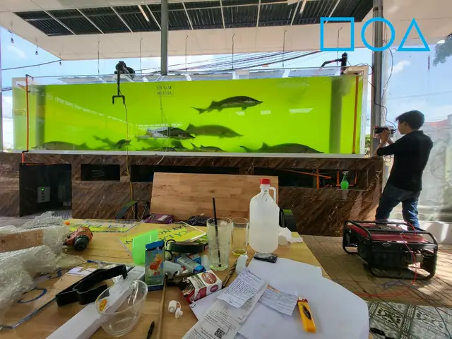 Nên Chọn Loại Hồ Cá Thủy Sinh Giá Rẻ Không Có Nắp