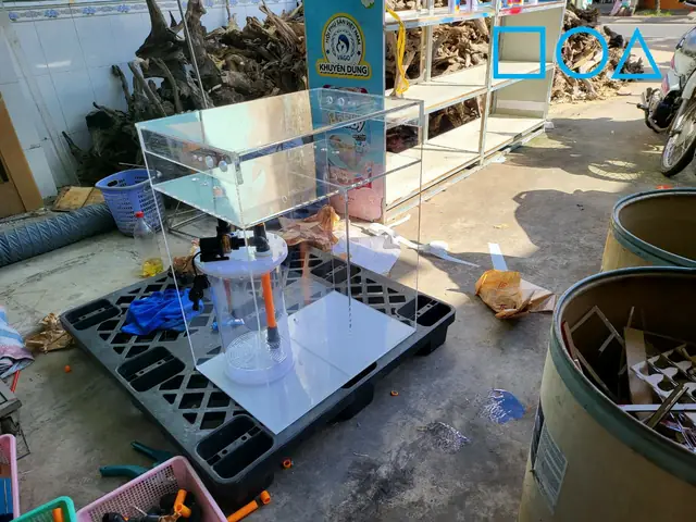 Giá Trị Cốt Lõi Để Suối Nhỏ Luôn Cung Cấp Mẫu Hồ Cá Thủy Sinh Giá Rẻ - Chất Lượng Tốt Đến Với Khách Hàng: