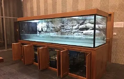 Hướng Dẫn Chi Tiết Lắp Đặt Và Sử Dụng Hồ Cá Jebo 1m2 Cho Người Mới Bắt Đầu Hướng Dẫn Chi Tiết Lắp Đặt Và Sử Dụng Hồ Cá Jebo 1m2 Cho Người Mới Bắt Đầu