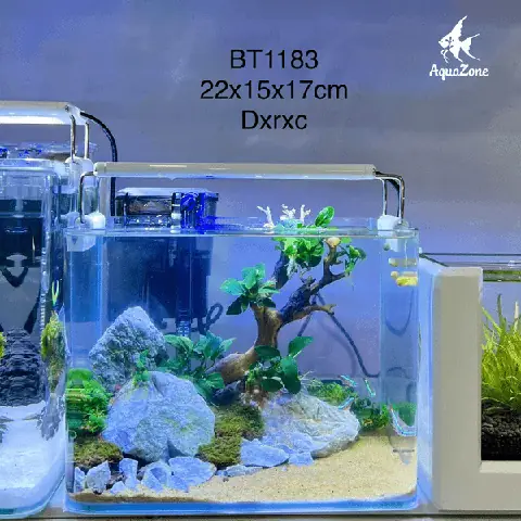 Hồ Cá Kiểng Mini: Bí Quyết Tự Tay Thiết Kế Mô Hình Thủy Sinh Cho Người Mới Bắt Đầu Hồ Cá Kiểng Mini: Bí Quyết Tự Tay Thiết Kế Mô Hình Thủy Sinh Cho Người Mới Bắt Đầu