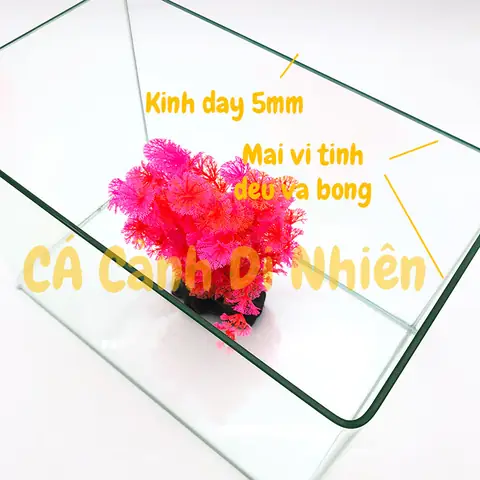 Hồ Kính Đúc Nuôi Cá Thủy Sinh 2 Cạnh Uốn Cong Bể Size 30x17x20 Cm