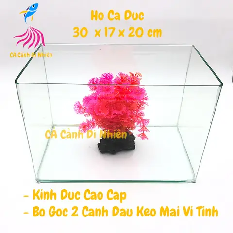 Hồ Kính Đúc Nuôi Cá Thủy Sinh 2 Cạnh Uốn Cong Bể Size 30x17x20 Cm