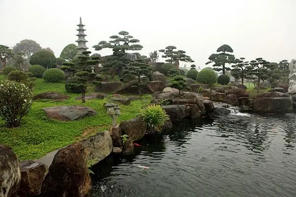 Ngất Ngây Ngắm Hồ Cá Koi Nhật Bản Gần 10 Tỷ Tại Việt Nam