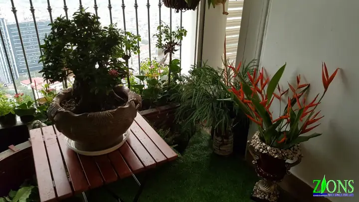 Thông Tin Dự Án Thông Tin Dự Án