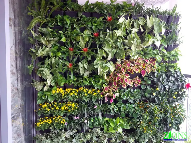 Thông Tin Dự Án Thông Tin Dự Án