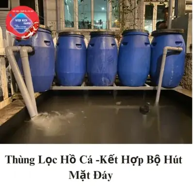Thùng Lọc Hồ Cá