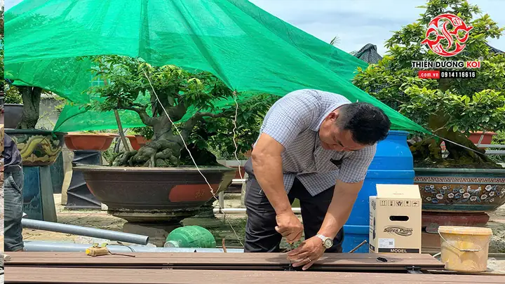 Hình Ảnh Quá Trình Thi Công Hồ Cá Koi Củ Chi Tphcm Hình Ảnh Quá Trình Thi Công Hồ Cá Koi Củ Chi Tphcm