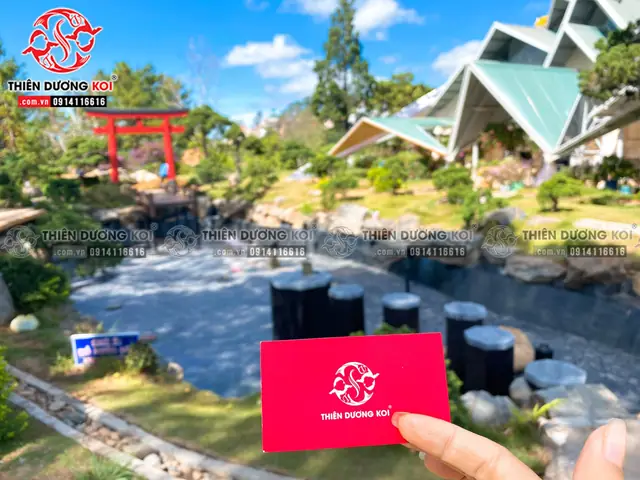 Cùng Chiêm Ngưỡng Hồ Cá Koi Sau Khi Đã Hoàn Thiện Tại Khu Du Lịch Lá Phong Đà Lạt Cùng Chiêm Ngưỡng Hồ Cá Koi Sau Khi Đã Hoàn Thiện Tại Khu Du Lịch Lá Phong Đà Lạt