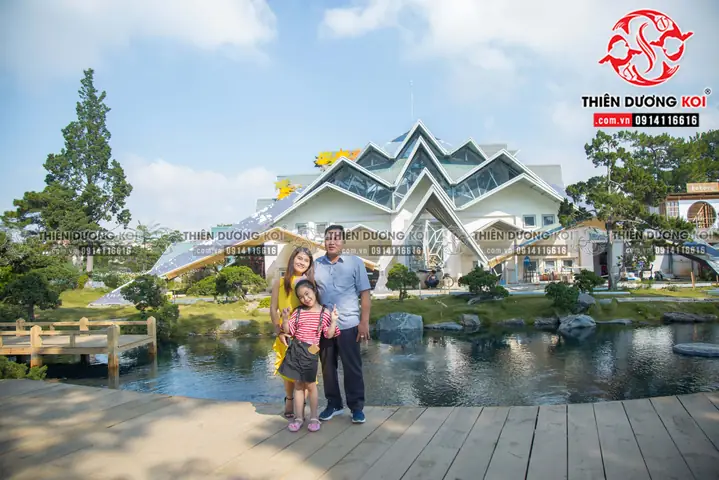 Cùng Chiêm Ngưỡng Hồ Cá Koi Sau Khi Đã Hoàn Thiện Tại Khu Du Lịch Lá Phong Đà Lạt Cùng Chiêm Ngưỡng Hồ Cá Koi Sau Khi Đã Hoàn Thiện Tại Khu Du Lịch Lá Phong Đà Lạt