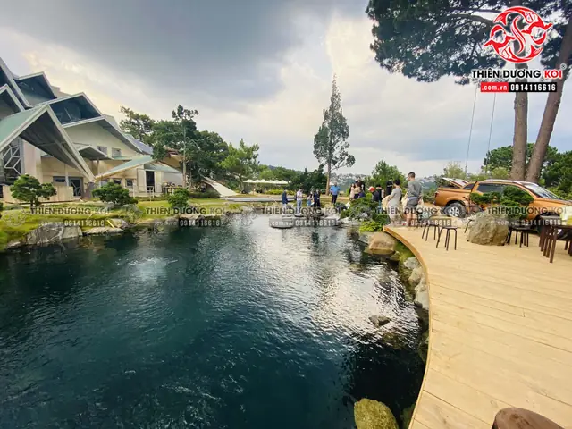 Những Bước Đầu Hoàn Thiện Hồ Cá Koi Tại Khu Du Lịch Lá Phong Đà Lạt Những Bước Đầu Hoàn Thiện Hồ Cá Koi Tại Khu Du Lịch Lá Phong Đà Lạt