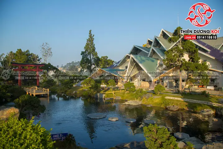 Cùng Chiêm Ngưỡng Hồ Cá Koi Sau Khi Đã Hoàn Thiện Tại Khu Du Lịch Lá Phong Đà Lạt Cùng Chiêm Ngưỡng Hồ Cá Koi Sau Khi Đã Hoàn Thiện Tại Khu Du Lịch Lá Phong Đà Lạt