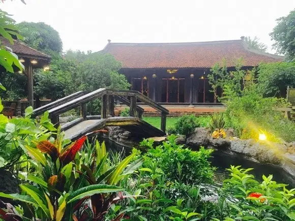 Hồ Cá Koi Hoàng Mập: Hành Trình Từ Cửa Hàng Thế Giới Cá Cảnh Đến Biểu Tượng Trong Giới Koi