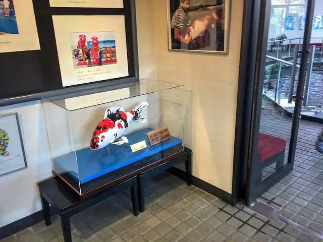 Nhắc Đến 1 Nơi Tại Nhật Bản Nơi Mà Khách Du Lịch Có Thể Chiêm Ngưỡng Những Hồ Cá Koi Truyền Thống Với Những Thác Nước, Khu Vườn Đá Tuyệt Đẹp Thì Sẽ Thật Thiếu Sót Nếu Du Khách Bỏ Qua Nishikigoi No Sato - Bảo Tàng Cá Koi Tại Nhật Bản.