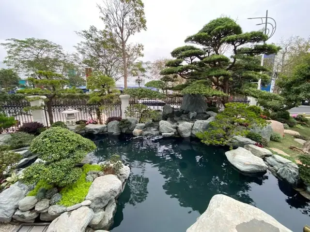 Tham Khảo Những Mẫu Hồ Cá Koi Tự Xây Chuẩn Đẹp