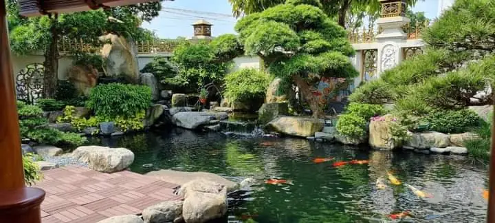 Bước 1 Lựa Chọn Vị Trí Xây Hồ Cá Koi