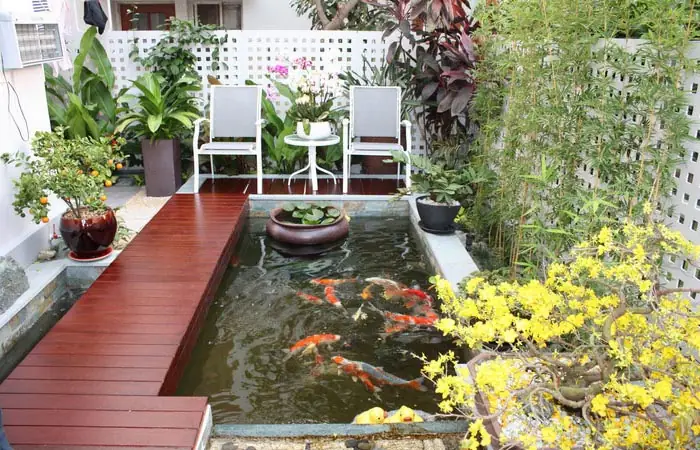 Hình Dáng Và Diện Tích Của Hồ Cá Koi Đạt Chuẩn