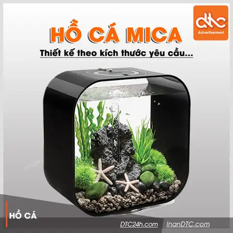 Hồ Cá Mica Mini: Toàn Tập Ưu Nhược Điểm & Hướng Dẫn Chọn Mua, Setup, Bảo Dưỡng