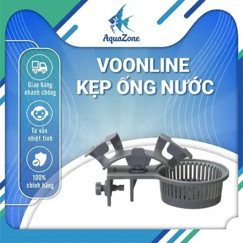 Hồ Cá Mini Thông Minh Là Gì? Hướng Dẫn Sử Dụng & Bảo Quản