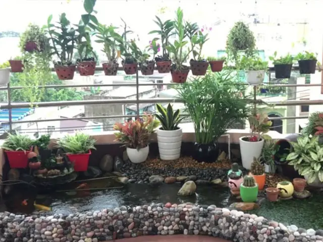 Mang Tính Thẩm Mỹ Cao