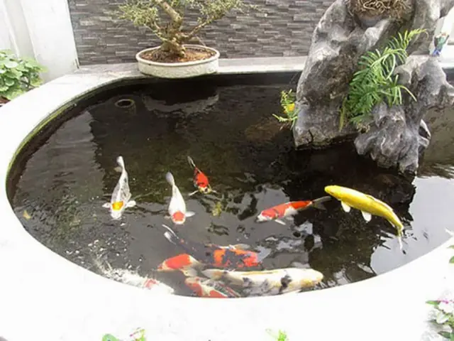 Bảng Giá Thiết Kế – Thi Công Hồ Cá Koi Mini Trên Sân Thượng Tại Thiên Dương Koi