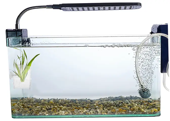 Thời Gian Ngâm Bể Kính Mới