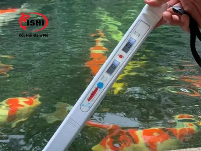 Ngâm Nước Và Kiểm Tra Độ Ph